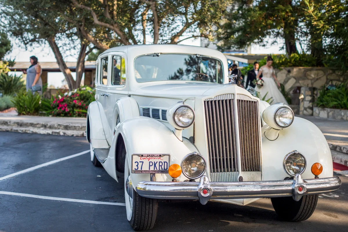 244 The Bacon Wedding.jpg