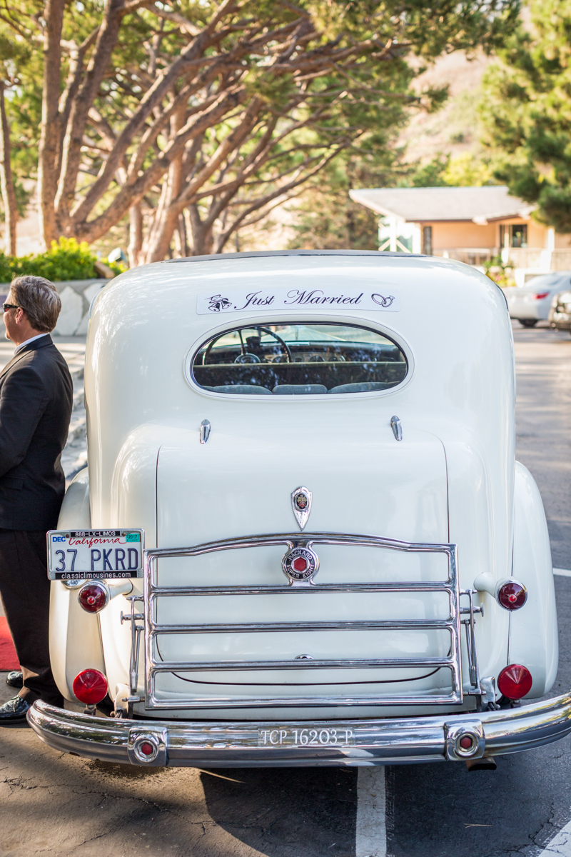 250 The Bacon Wedding.jpg