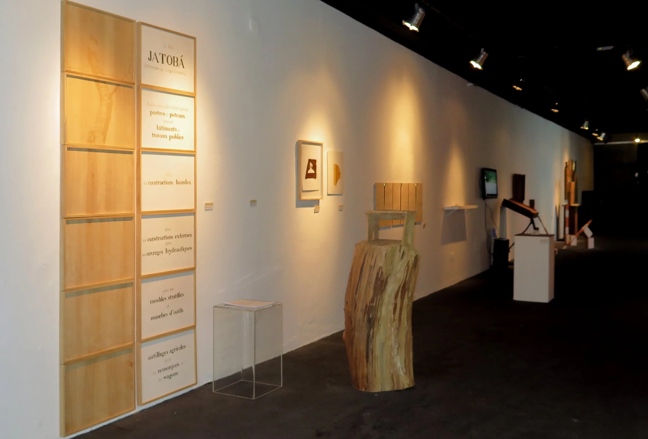 Expo. Da raiz ao objeto