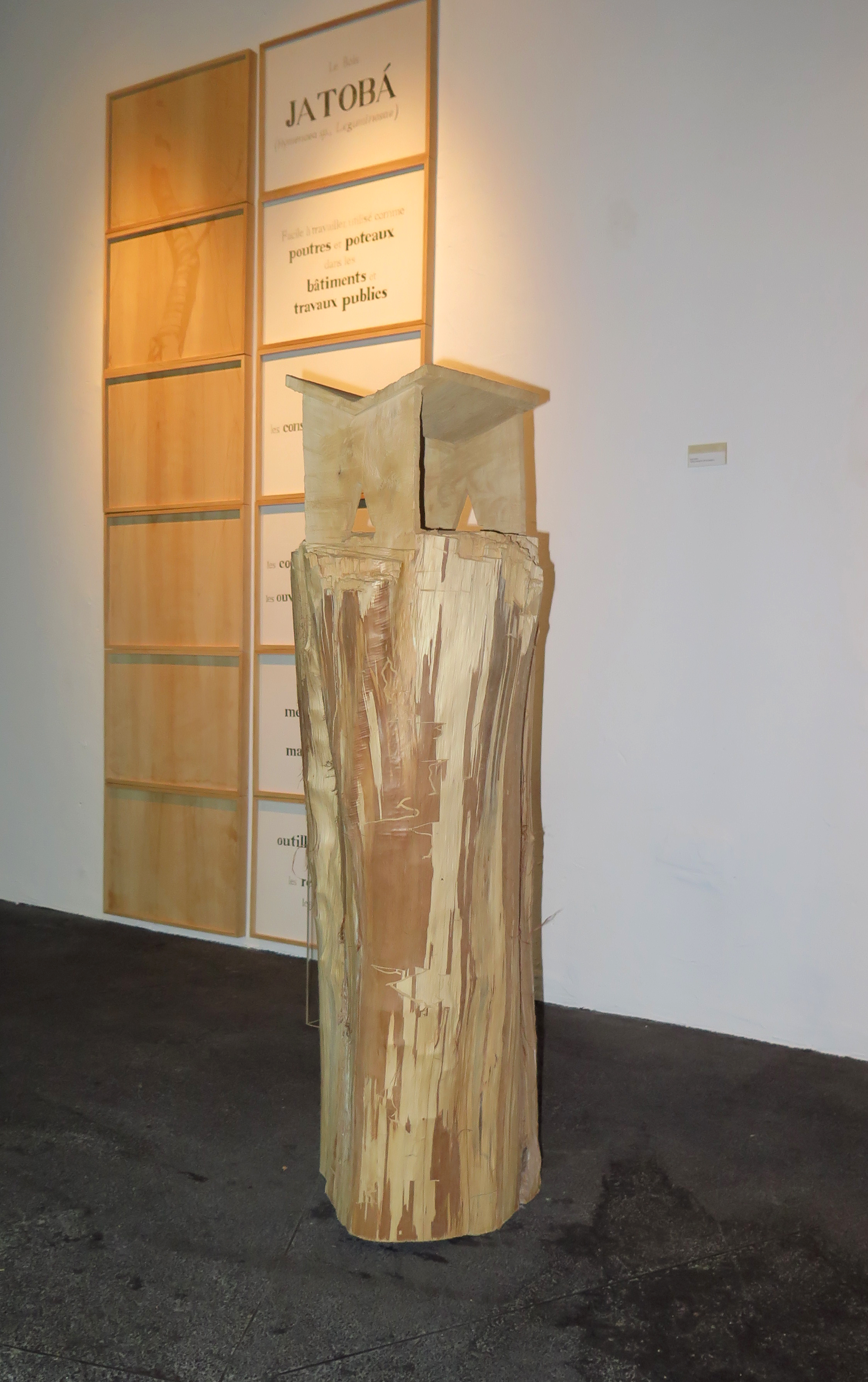 Tiago Tebet, banco caipira, 2014