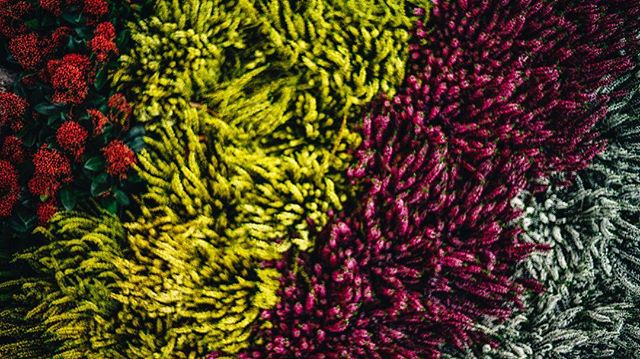 📷 #LeicaM9 ➖
&bull;
&bull;
&bull;
&bull;
&bull;
&bull;

#lensculturestreets #friendsinperson #streetbwcolor #ourstreets #everybodystreet #life_is_street #outofthephone #1415mobilephotographers #streetlife_award #capturestreets #spicollective #hikari