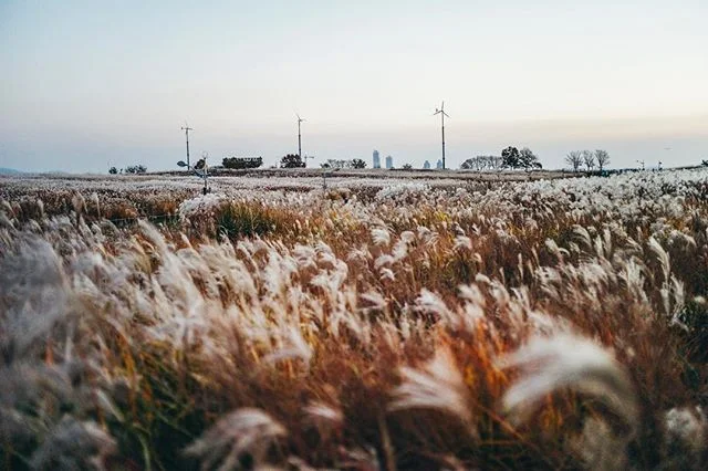 📷 #LeicaM9 ➖
&bull;
&bull;
&bull;
&bull;
&bull;
&bull; 
#phroom #fujifeed #fujiframez #tinycollective #archivecollectivemag #dazedandexposed #rentalmag #misomultiples #lucecurated #verybusymag #ourmomentum 
#streetphotografy #streetphotografy_bw #st