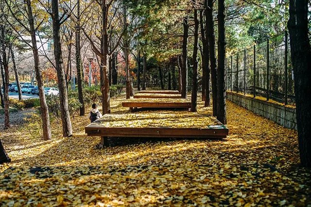 📷 #LeicaM9 ➖
&bull;
&bull;
&bull;
&bull;
&bull;
&bull;
#whptravelogue #instagram #onthestreets #hikaricreative #one__shot__ #SPiCollective #spi_colour #in_public_sp #wearethestreet #ourstreets #myspc17 #nycspc #life_is_street #streetbwcolor #serikat