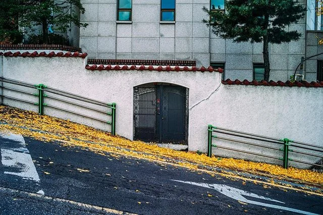 📷 #LeicaM9 ➖
&bull;
&bull;
&bull;
&bull;
&bull;
&bull;

#phroom #fujifeed #fujiframez #tinycollective #archivecollectivemag #dazedandexposed #rentalmag #misomultiples #lucecurated #verybusymag #ourmomentum 
#streetphotografy #streetphotografy_bw #st