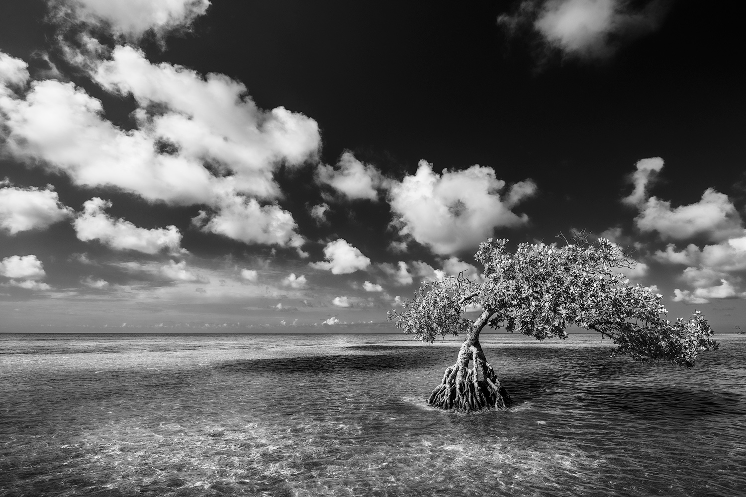 Long Key, Fl No. 1