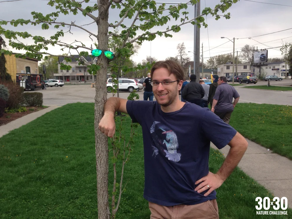 "You can tell it's a Fir by the way that it is."