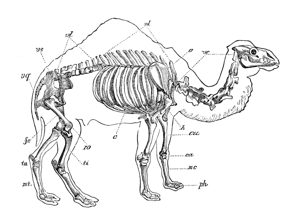 ec414-62e09-img.jpg
