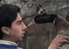 duck.gif