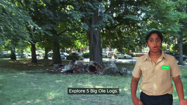 Tightseeing 5 Big Ole Logs.gif