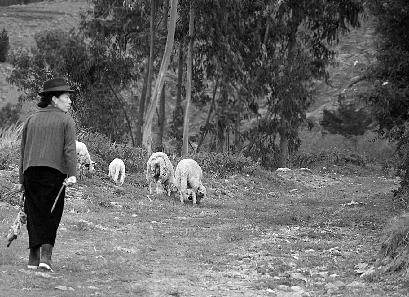 Ecuadorbw49web.jpg