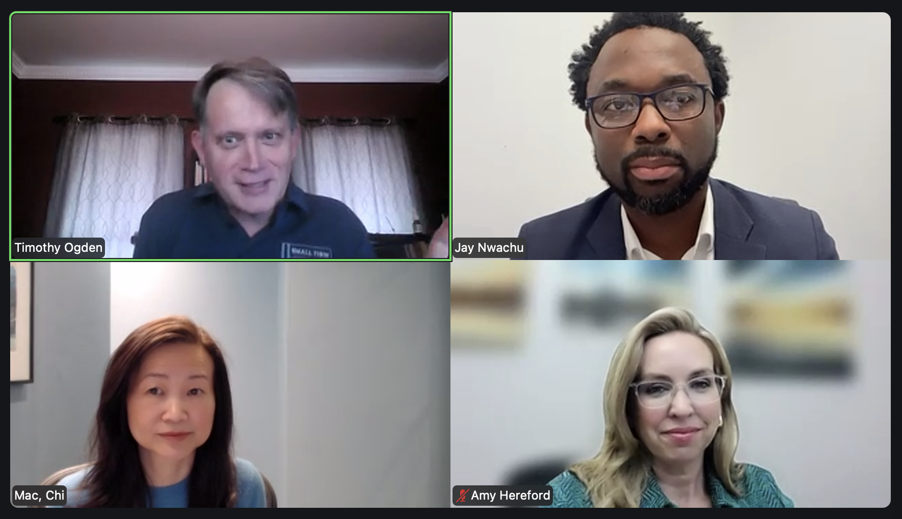 Webinar speakers on zoom screen