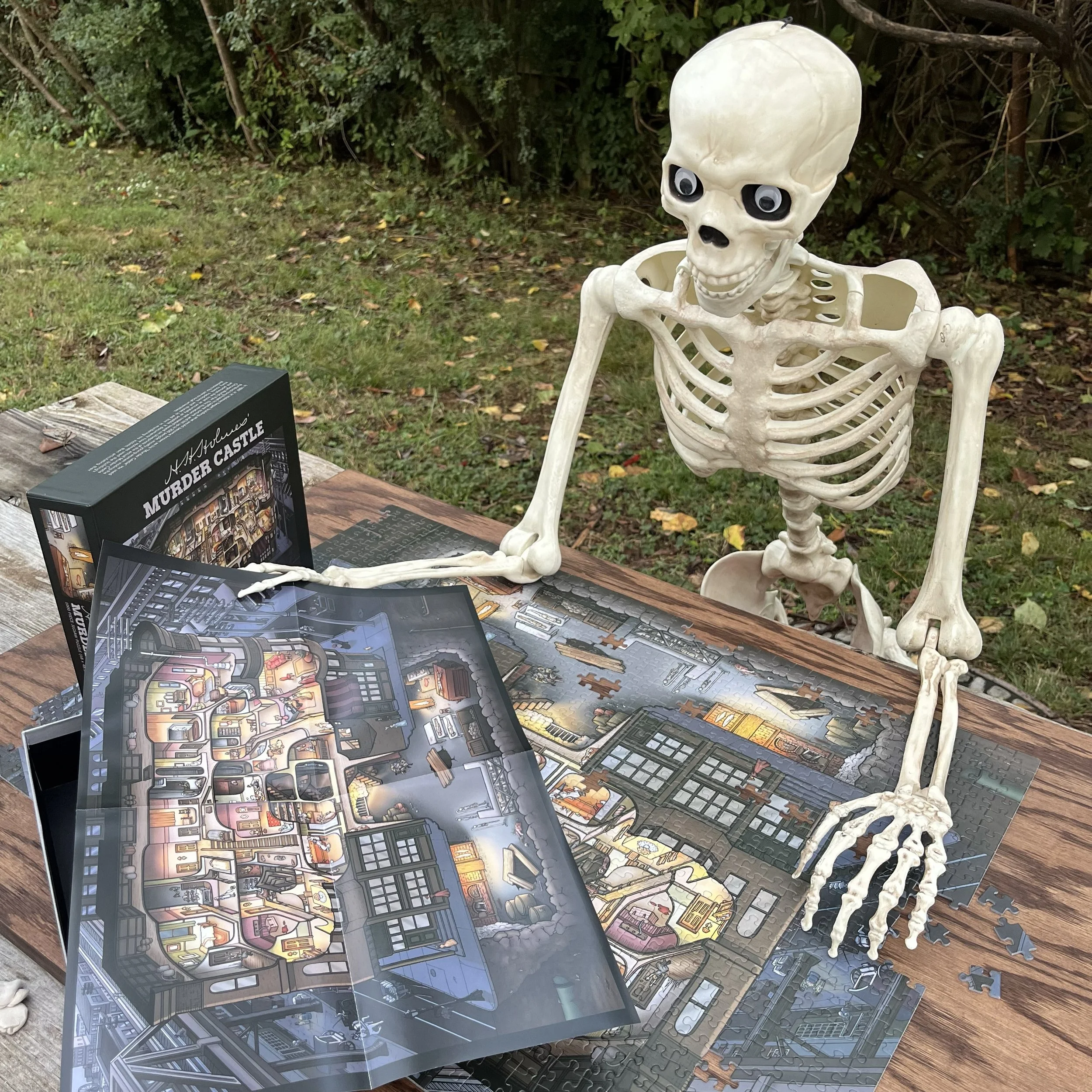 MC-osteo-2.jpg
