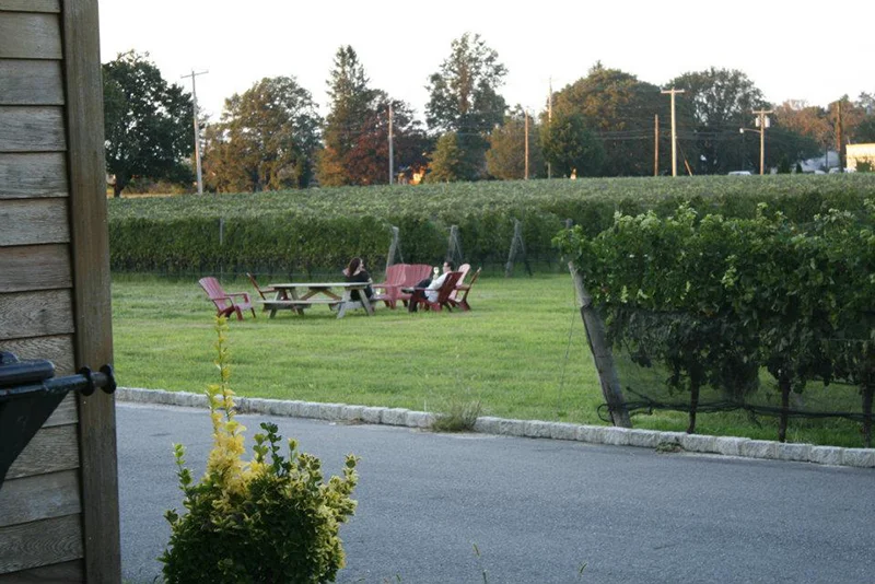 ourwinery-slide3.jpg