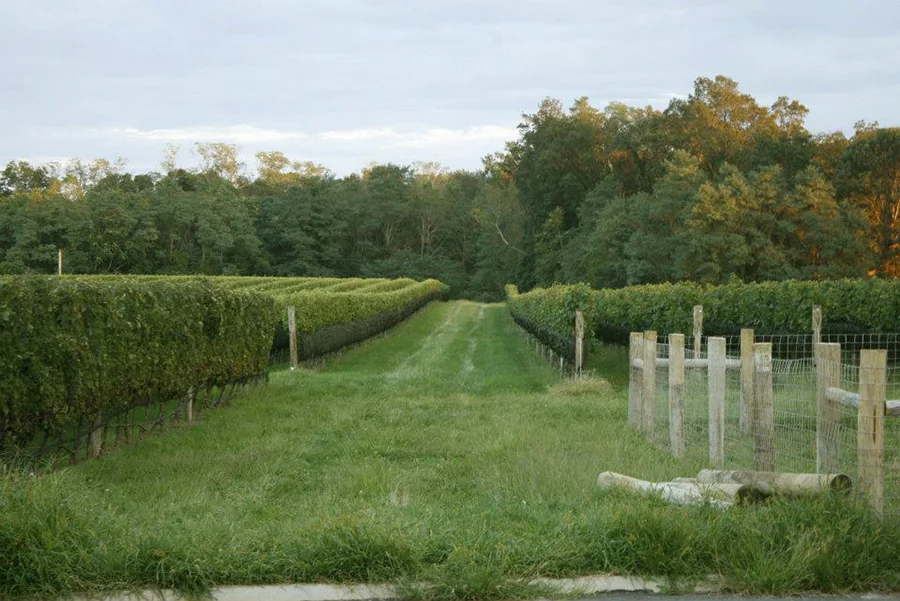 ourwinery-slide1.jpg