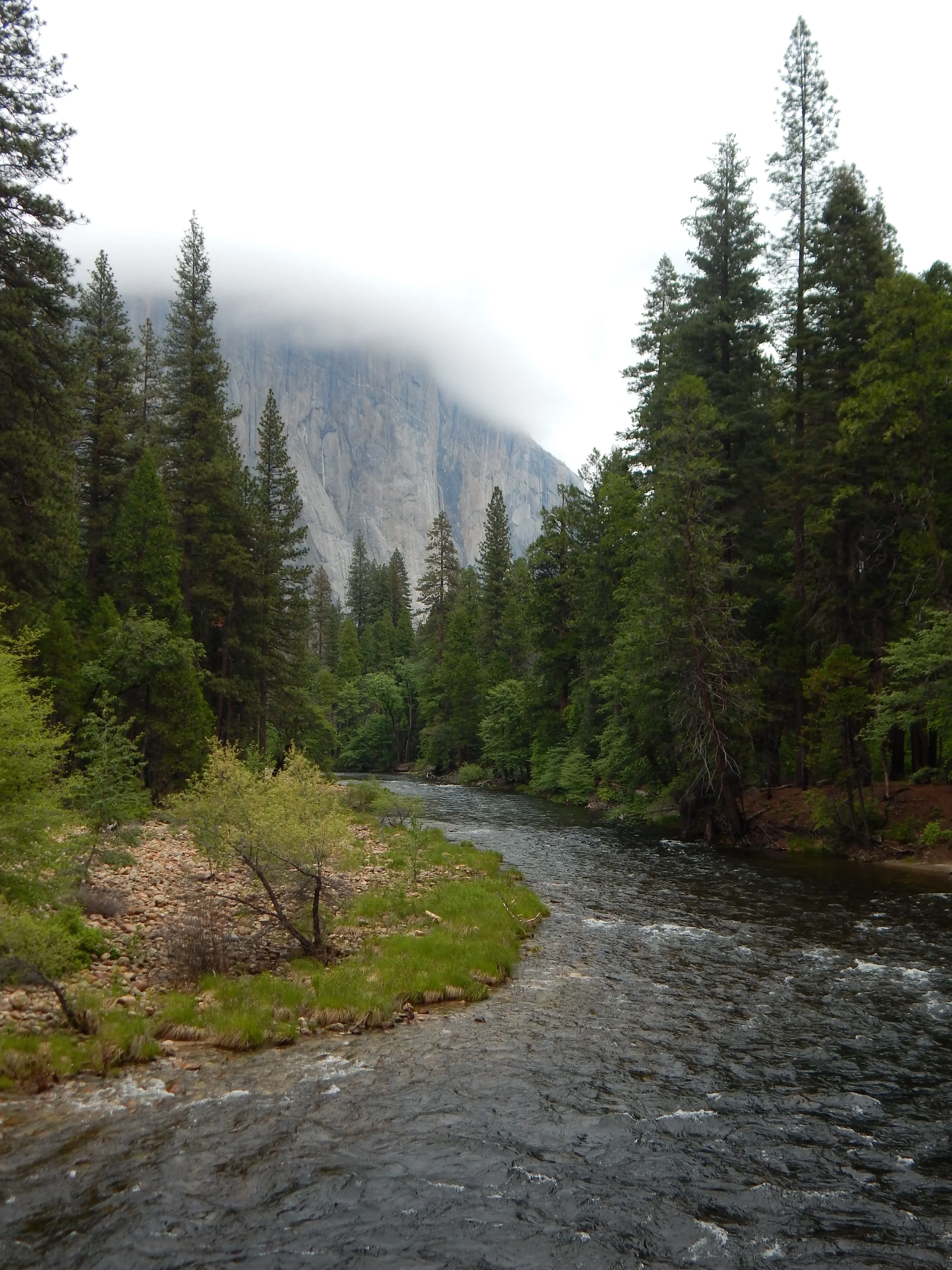 DSCN1408.jpg