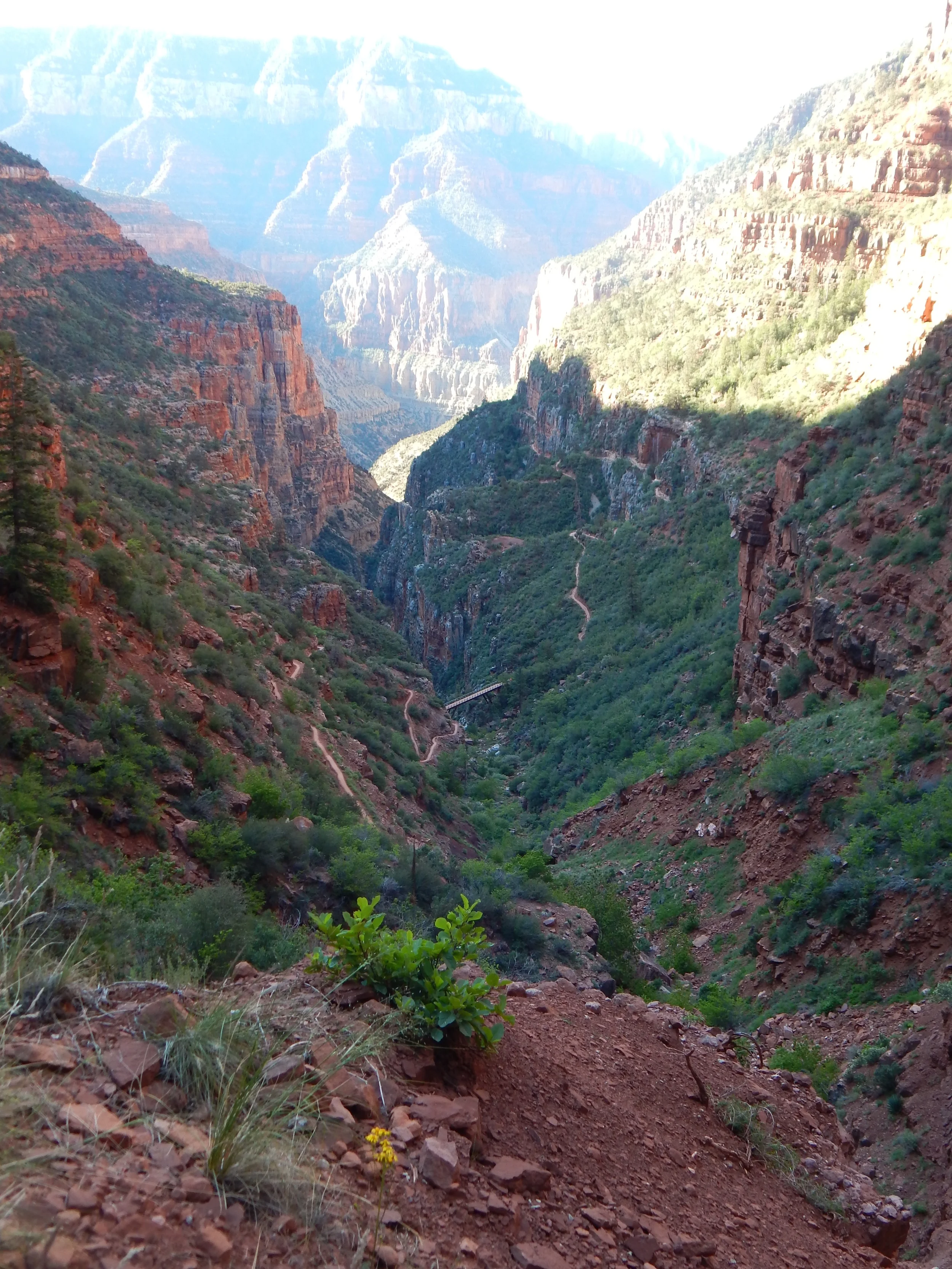 DSCN1690.jpg