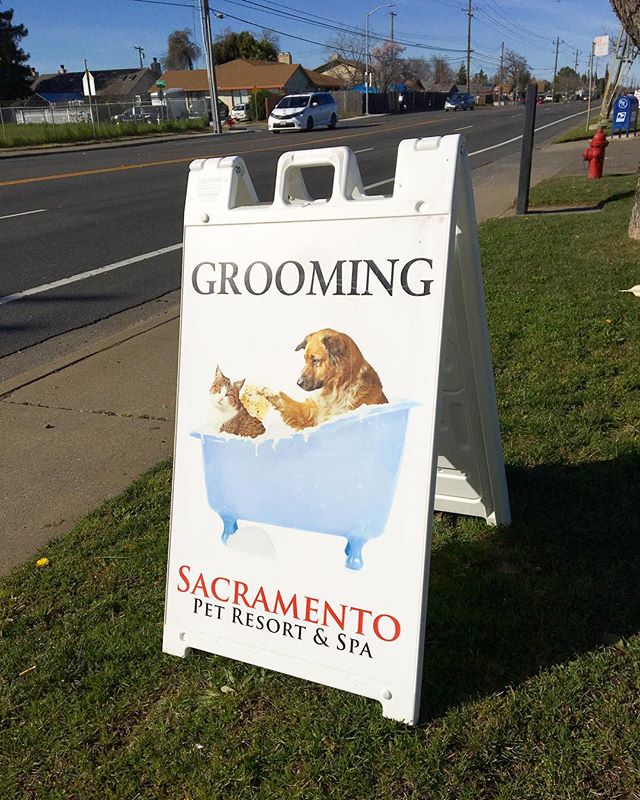 Order a @plasticade Aframe to help promote your #business!! Available in various sizes. 🐶😽#signs #aframe #promotion #displays #calsigns #sacramento #pets #shop