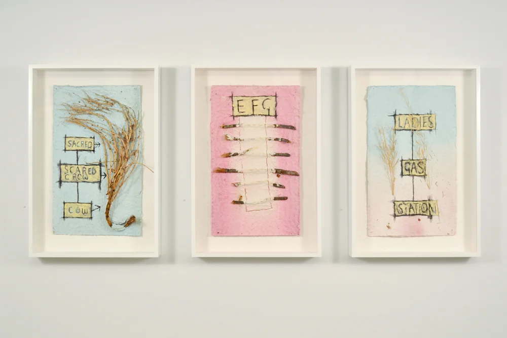 Installation view with Peter Nadin's Tomato I , Ash , and Mustard II (all 2012).