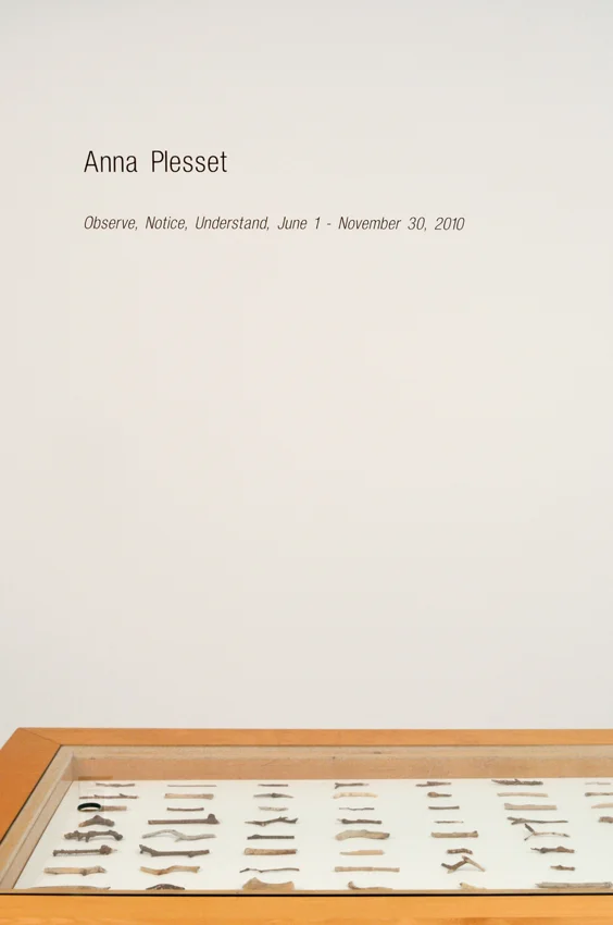 Installation view: Anna Plesset, Observe, Notice, Understand, June 1 – November 30, 2010 , The Horticultural Society of New York, May 7 – July 3, 2013.