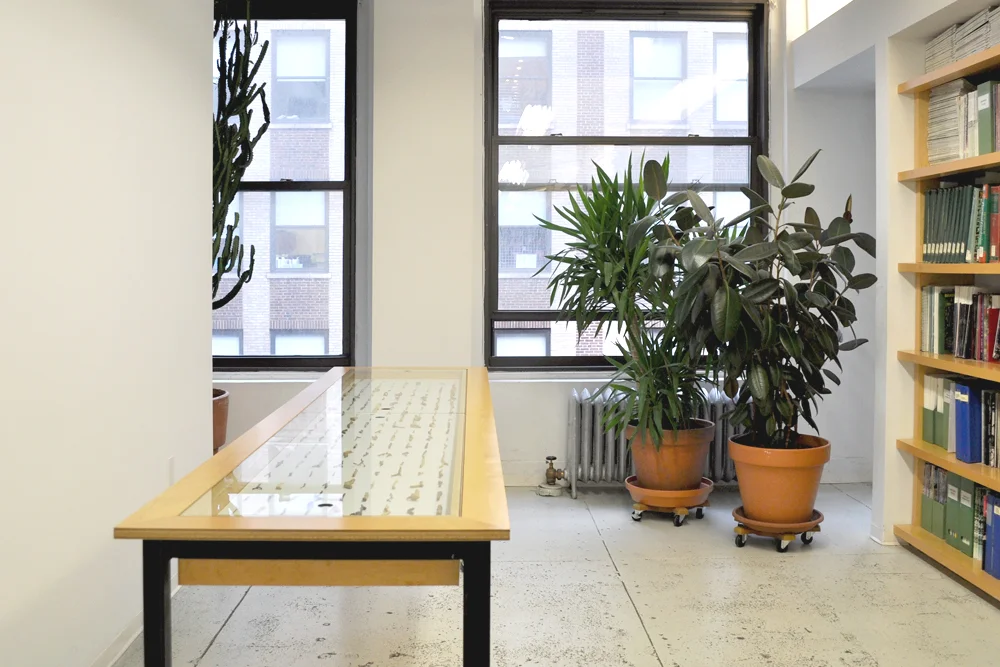 Installation view: Anna Plesset, Observe, Notice, Understand, June 1 – November 30, 2010 , The Horticultural Society of New York, May 7 – July 3, 2013.