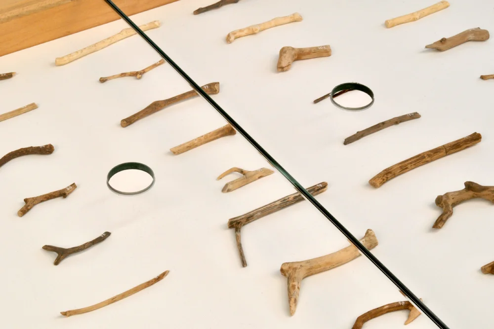    Anna Plesset    Observe, Notice, Understand  May – July 2013 
