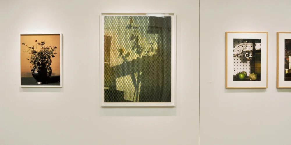 Installation view of Nature Morte with (from left to right): Sharon Core, Miranda Lichtenstein, and Corin Hewitt.