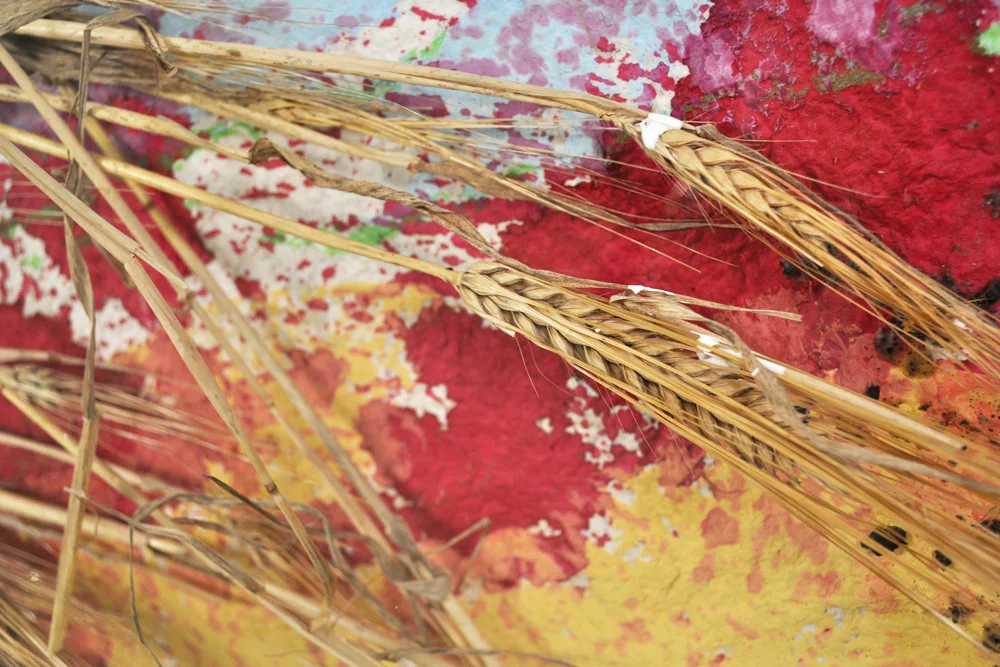    Peter Nadin    Taxonomy Transplanted  December 2012 – February 2013 