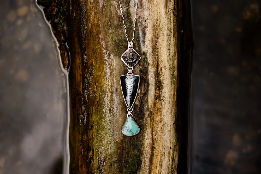 Pyritized Ammonite Negative Orthoceras Fossil Carico Lake