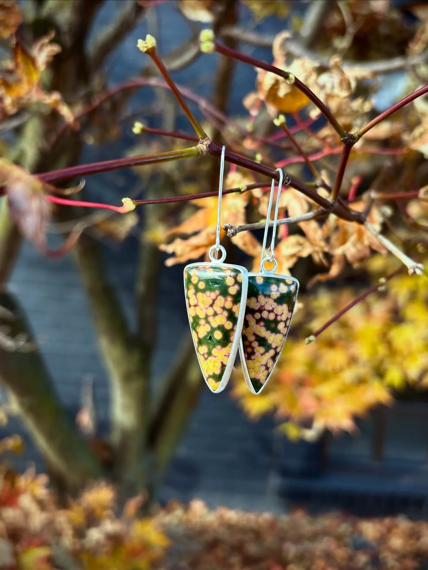 In deep gratitude,
for the gifts of Mother Nature
for my body&rsquo;s resilience 
for my inspiring creative community
for my loving and gracious collectors.

Thank you for being here. Thank you for sharing in my excitement and intrigue of nature and 