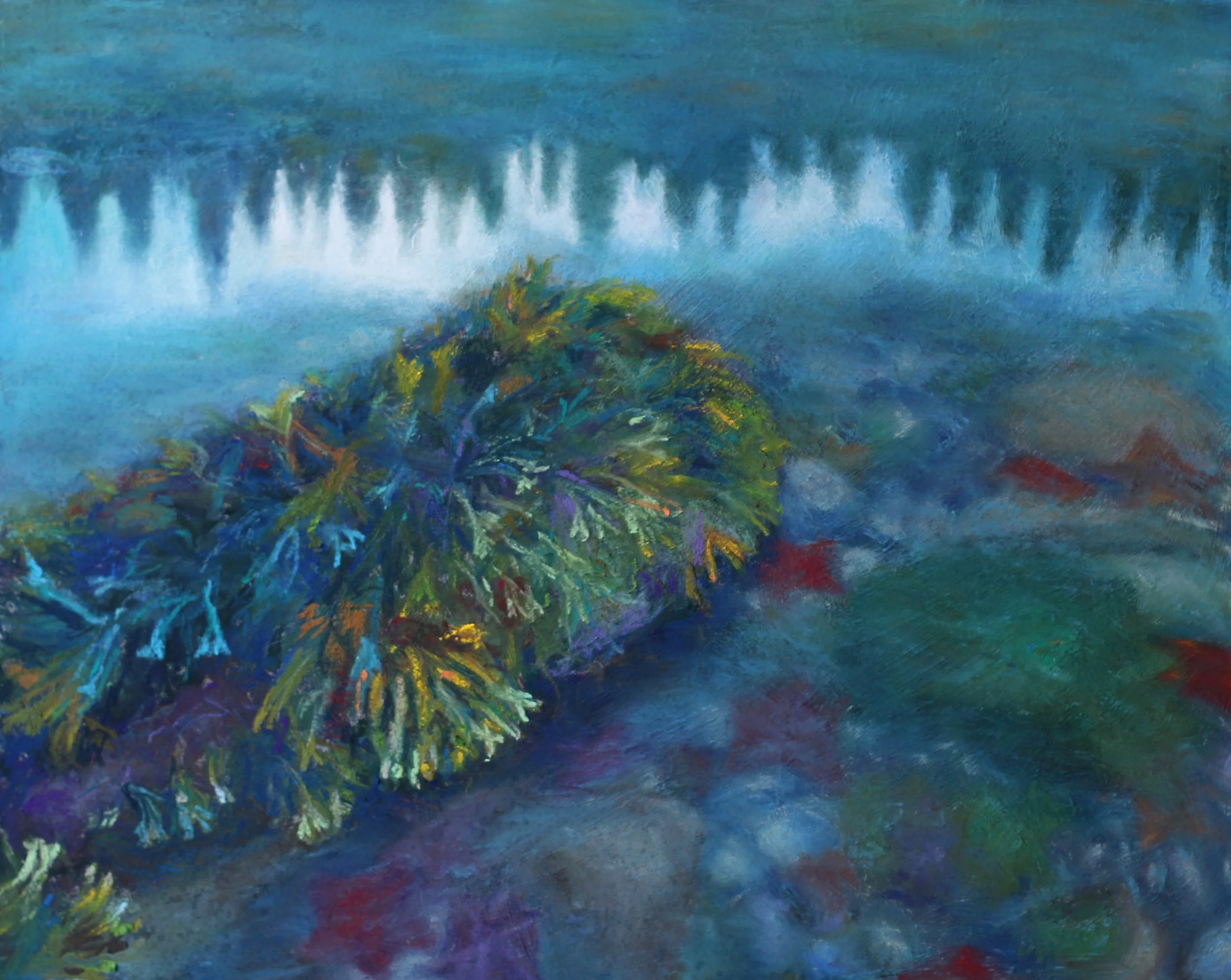 "A World Within" (Burnaby Narrows, Gwaii Haanas), pastel on panel, 16" x 20" Sold