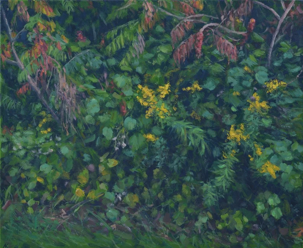 "Celebration" (2024) 🔴