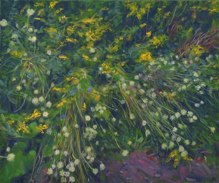 “Tanglewood - Study” (2024)