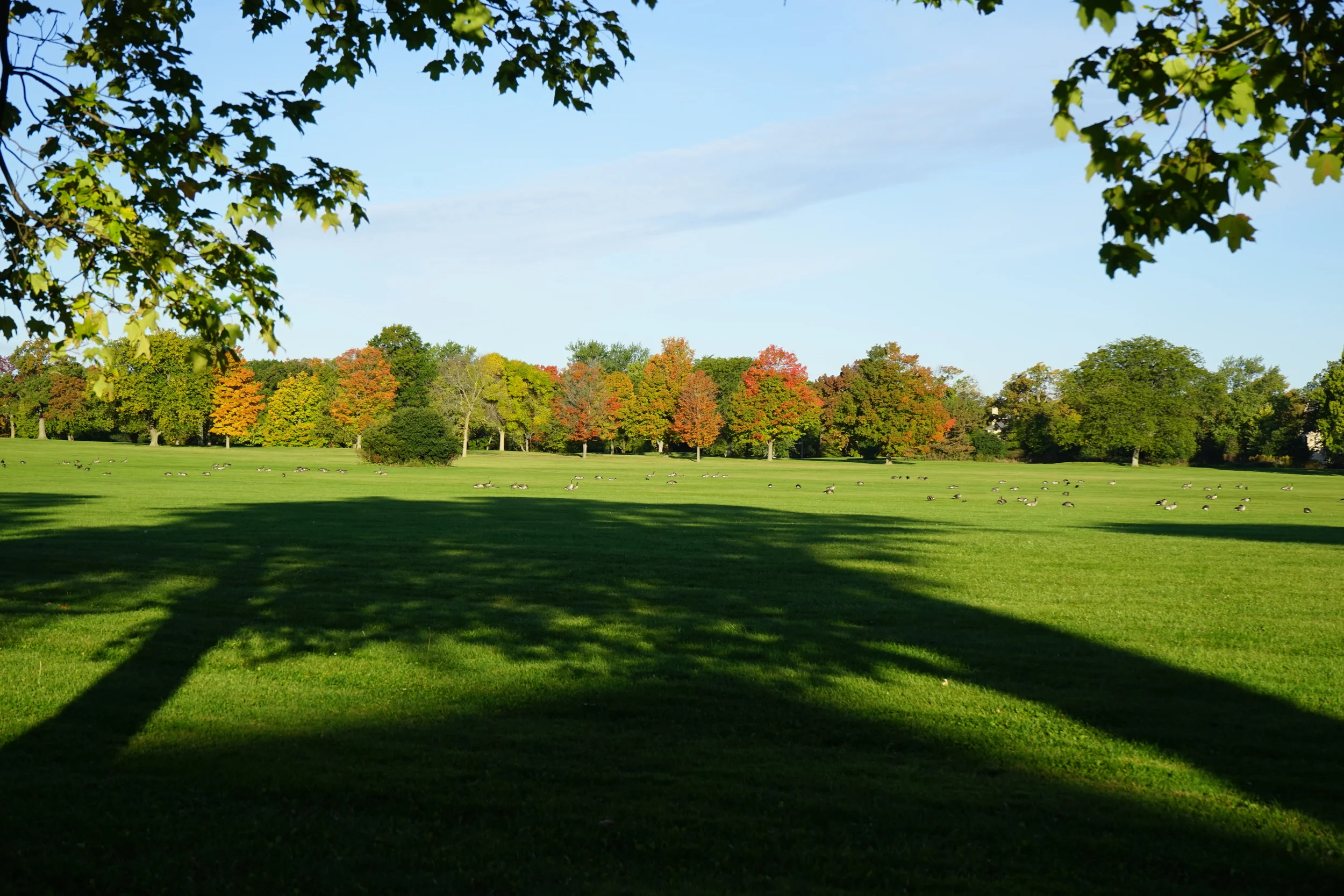 DSC06595.JPG