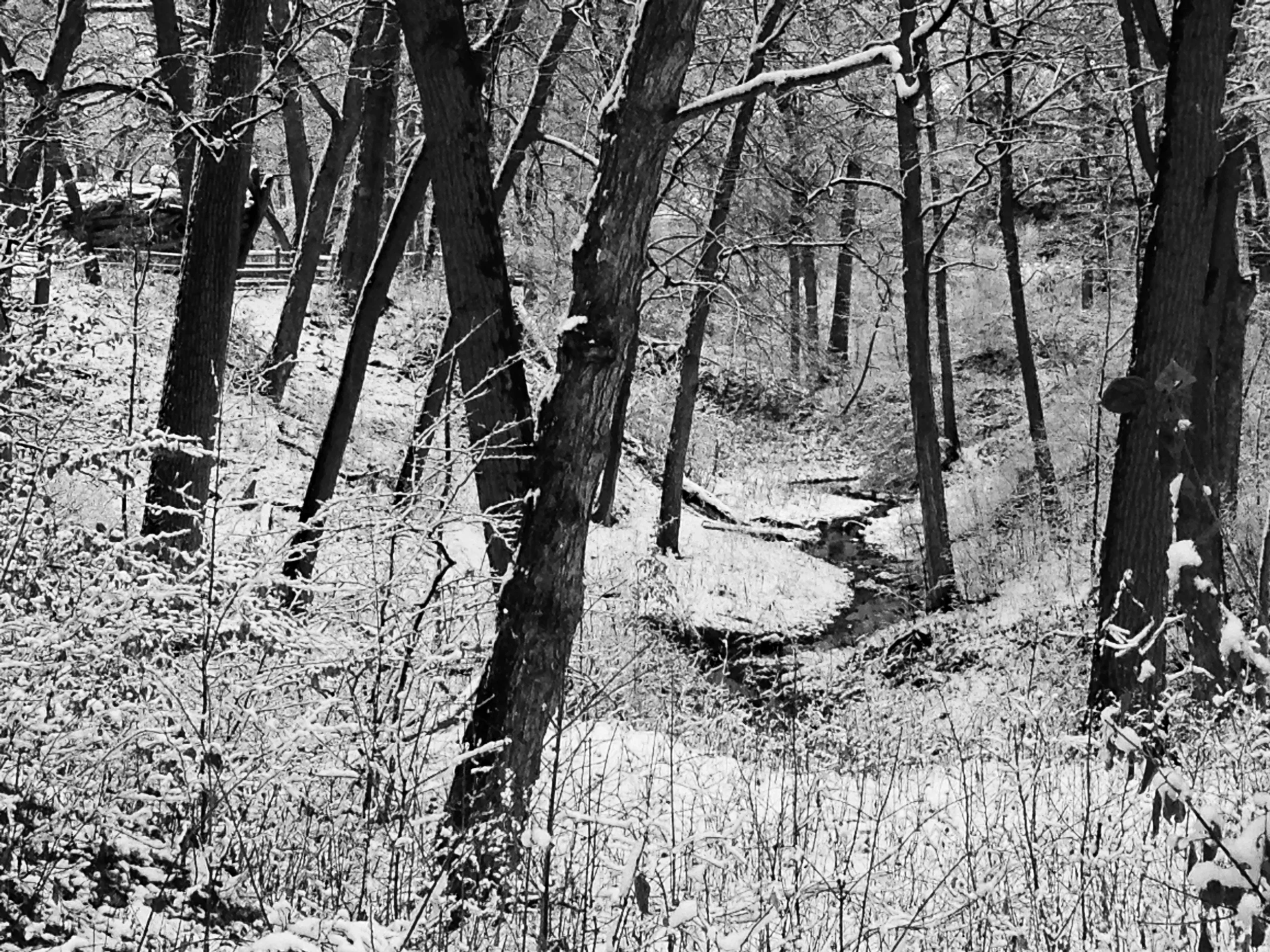 Hutchinson and Scott Ravine work