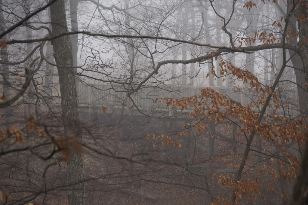 Tentative Controlled Burn - Barlett & Scott Ravines