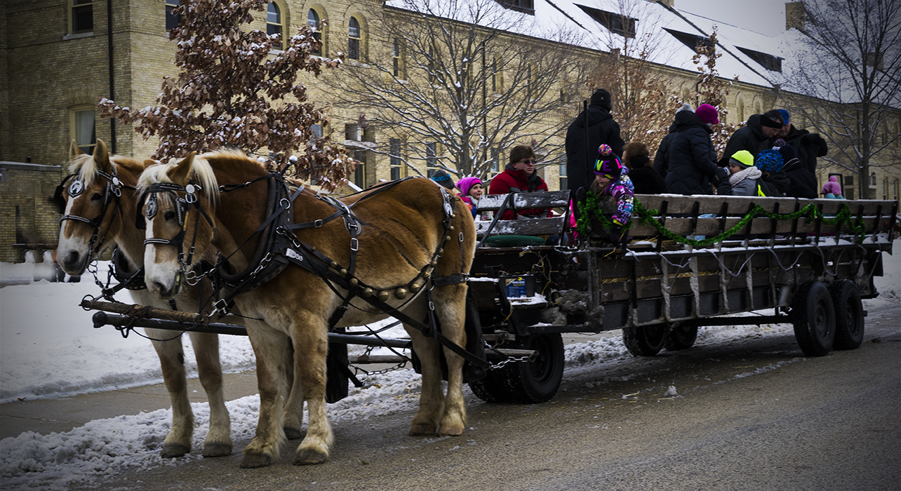 _DSC3658web.jpg