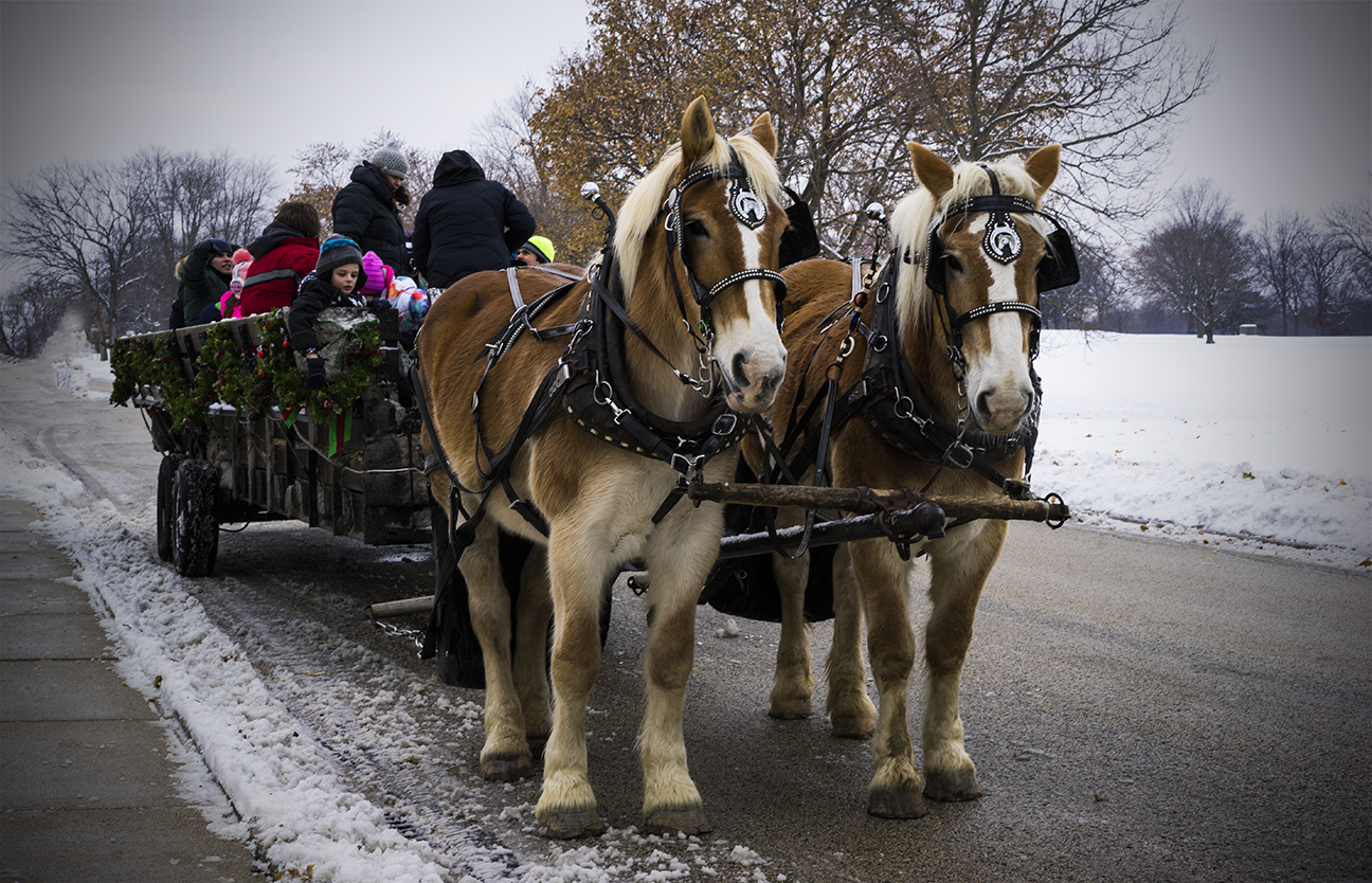 _DSC3657web.jpg