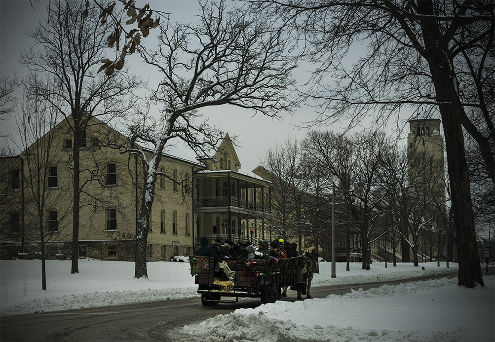 _DSC3687web.jpg