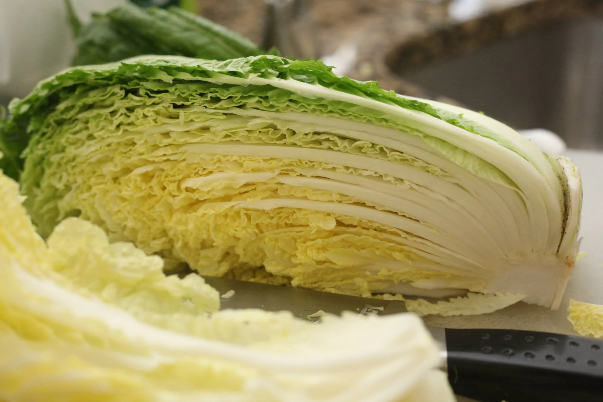Cabbage before undergoing kimchi transformation
