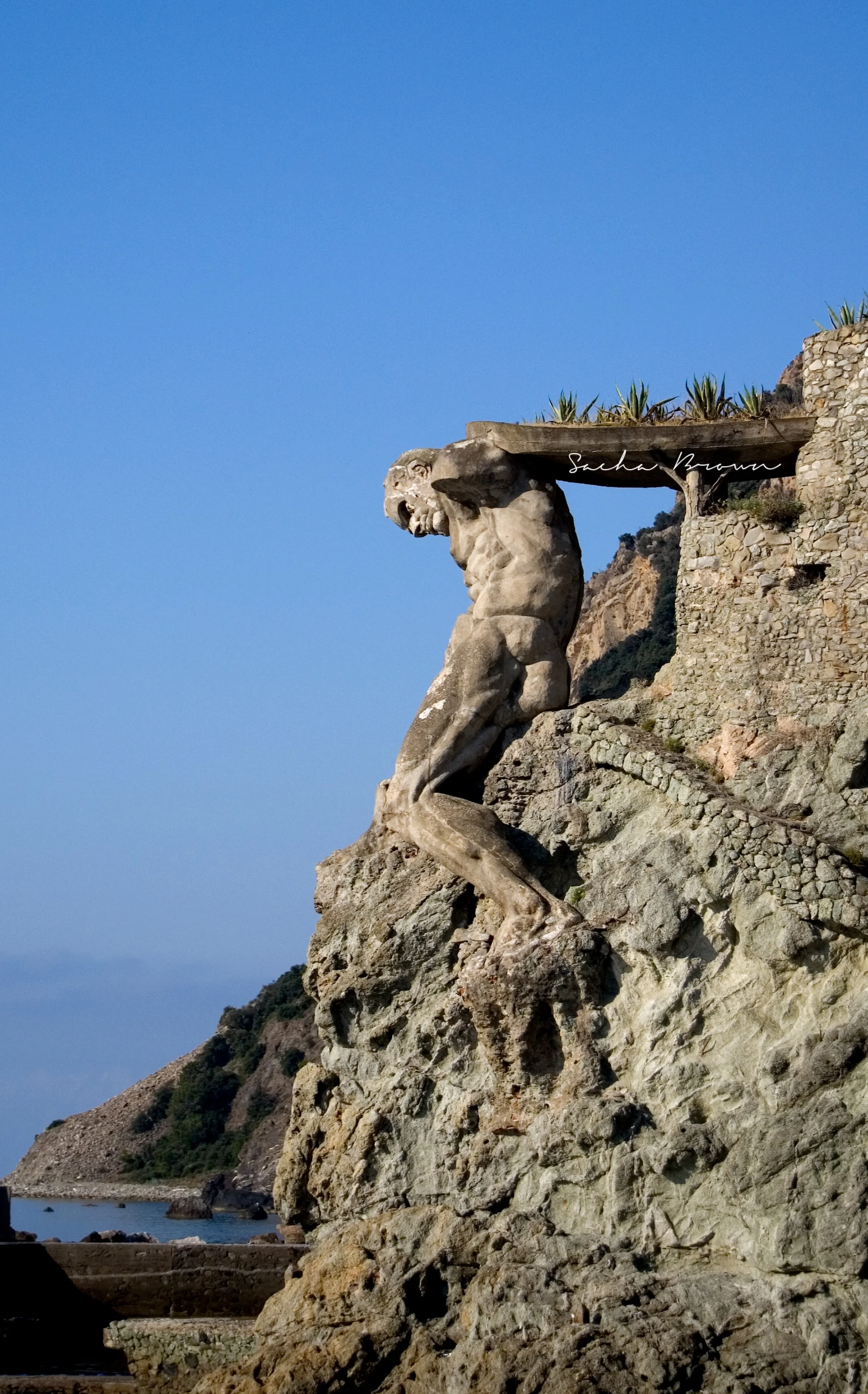 NEPTUNE signature.jpeg