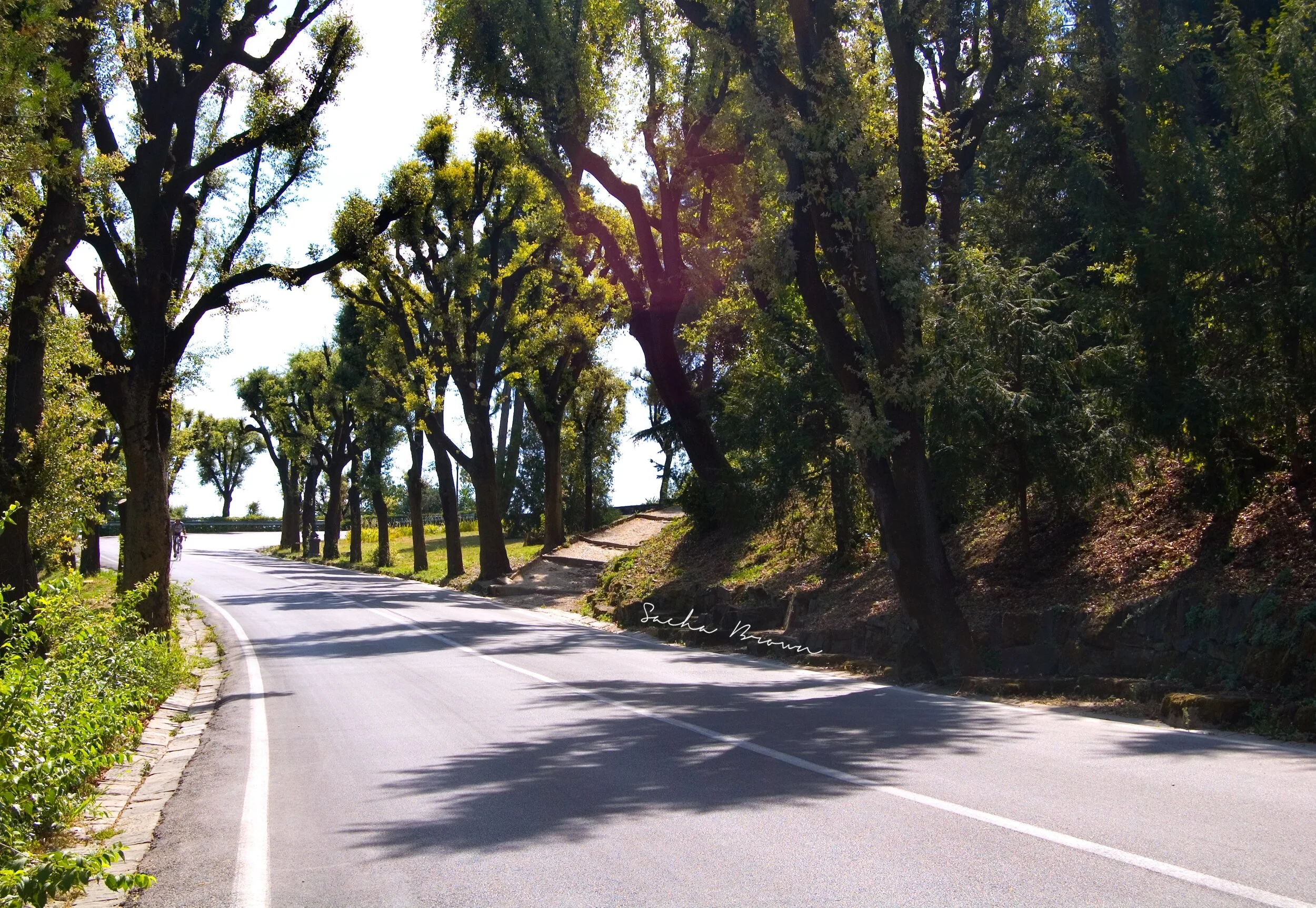 FURTHER DOWN THE ROAD signature.jpeg