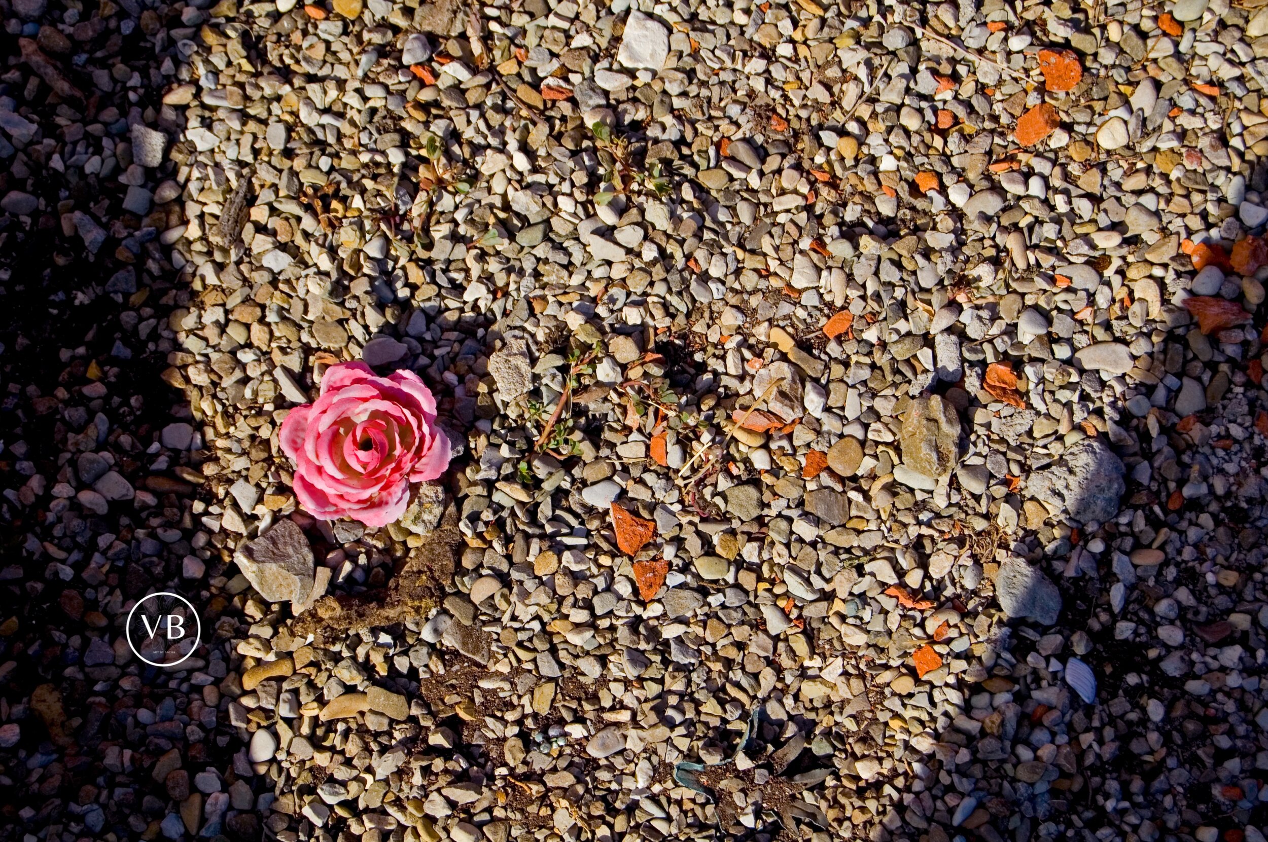 PAINTING FLOWERS watermarked.jpeg