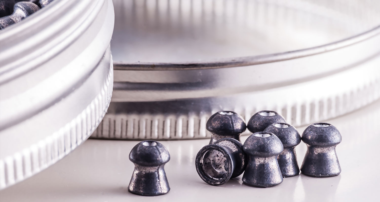 SLIDE-Pellets-CloseUp-3.jpg