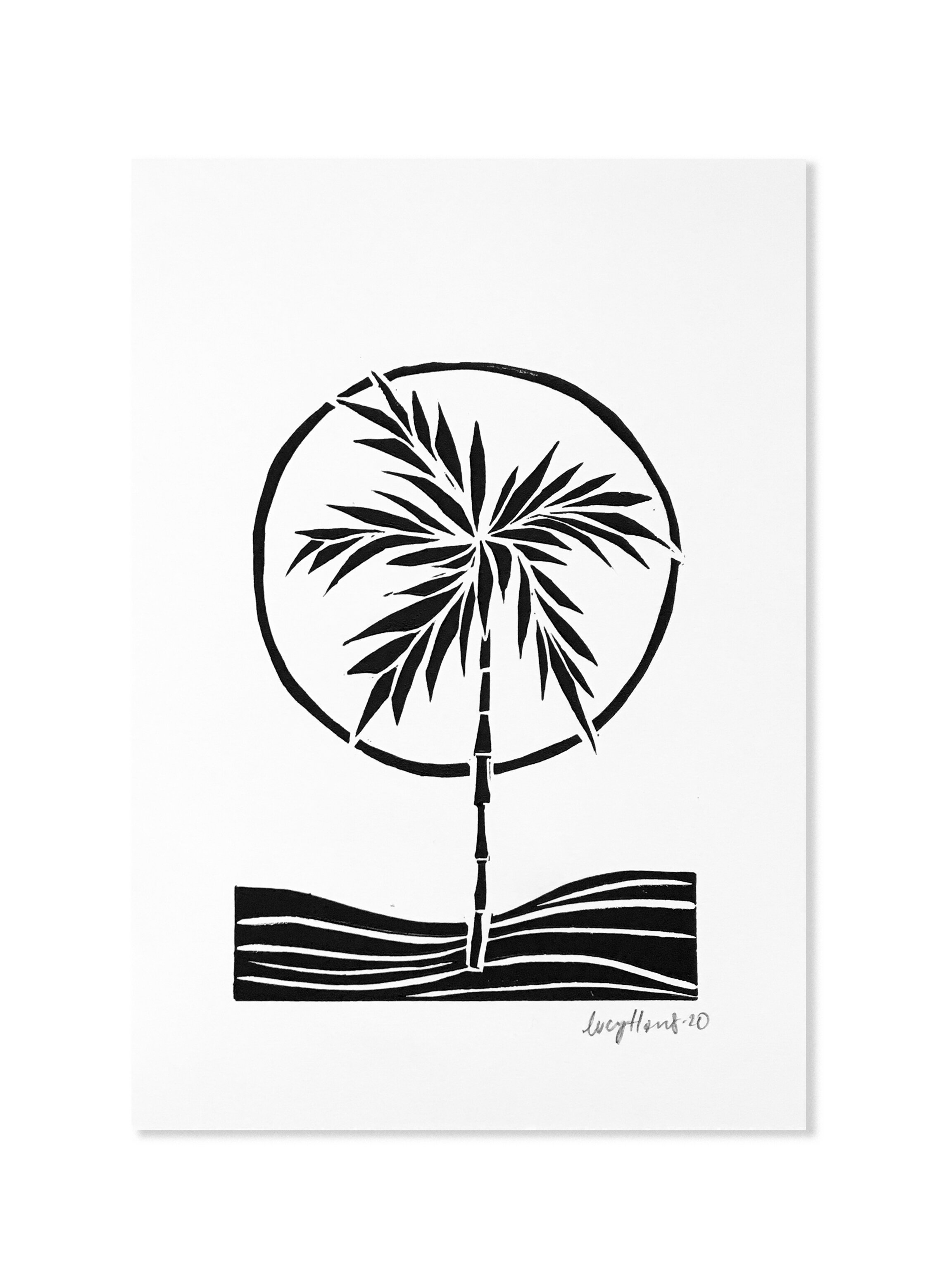 white bg - gizo palm.jpg