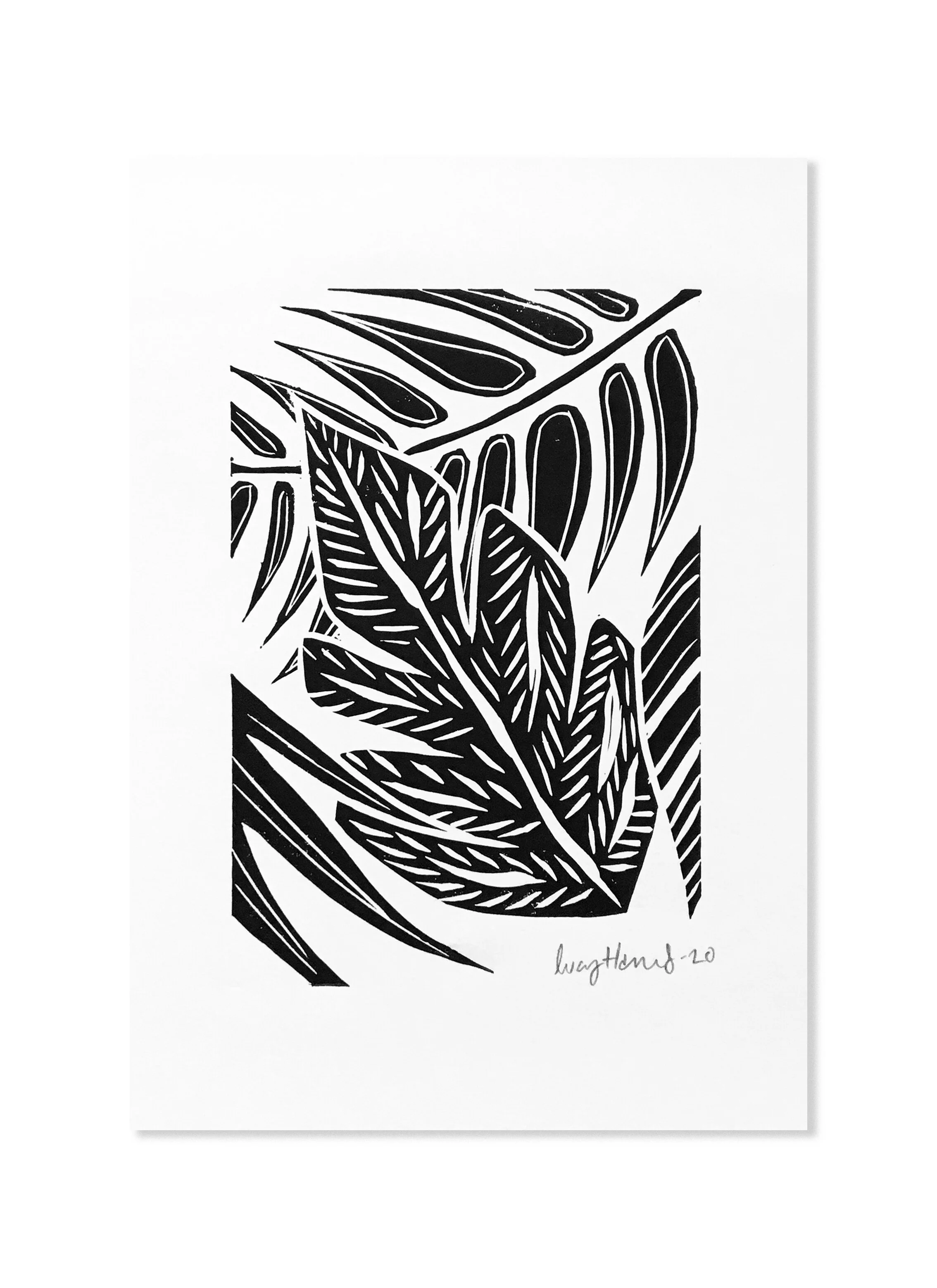 white bg - leaves.jpg
