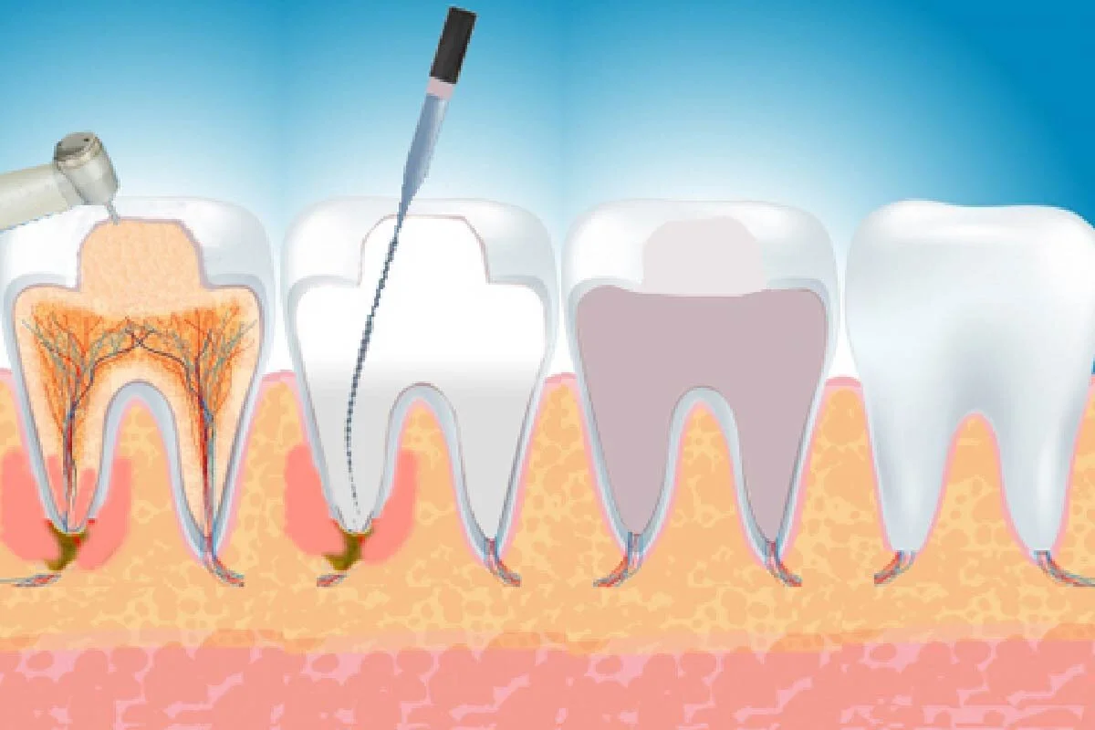 Artboard 2 copy 5@2x-50.jpg