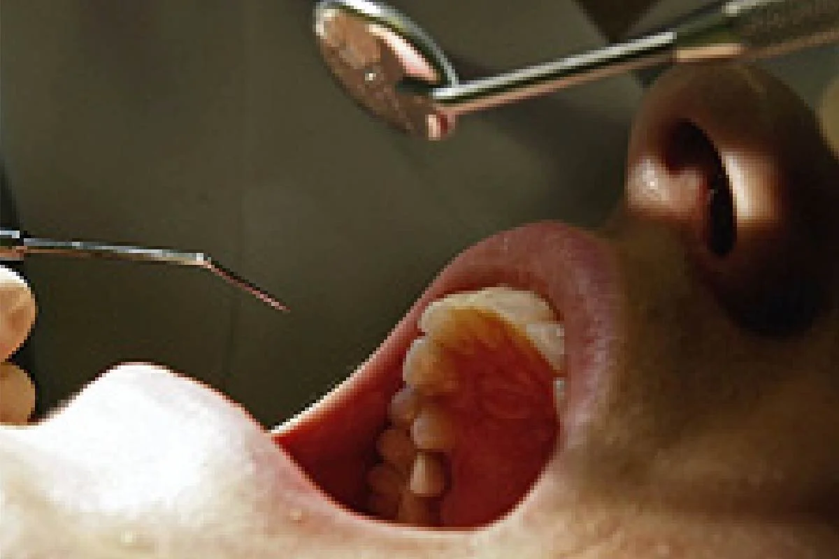 Artboard 2 copy 10@2x-50.jpg