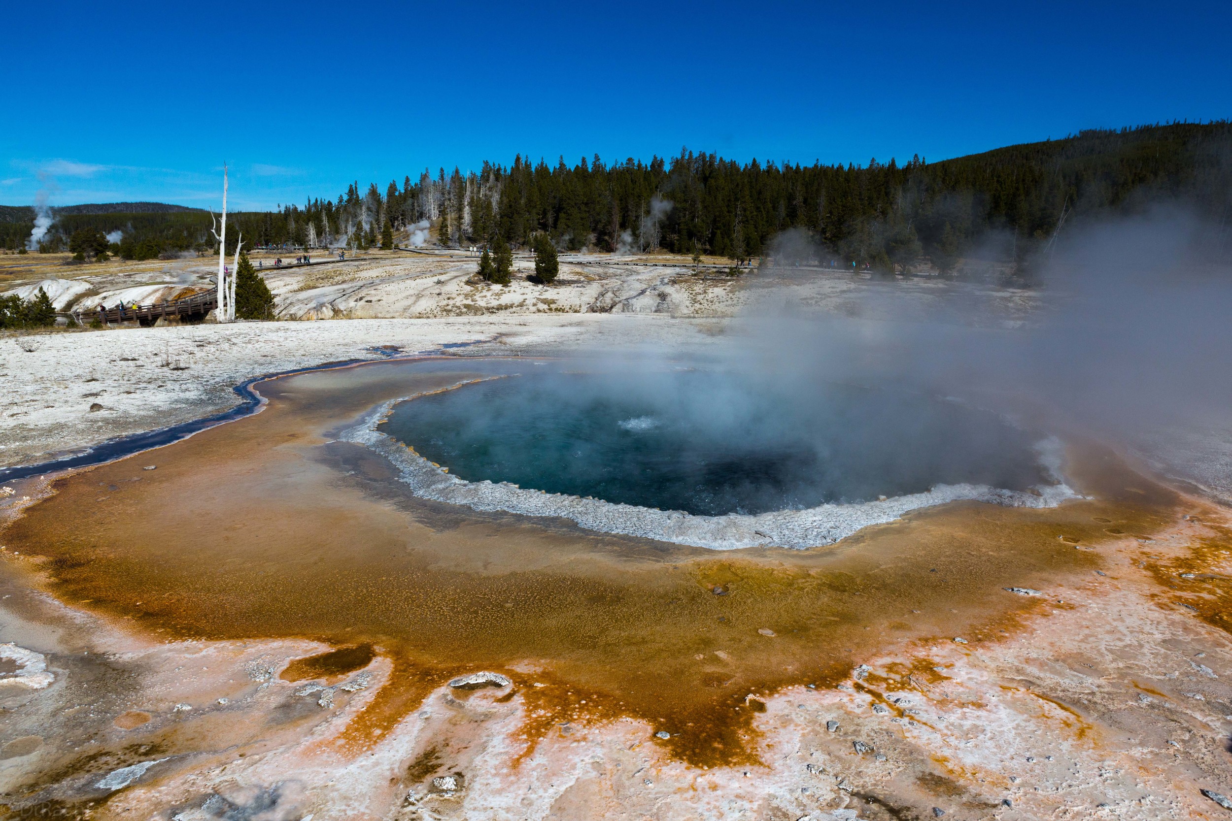 Thermal pool in Yellowstone National Park