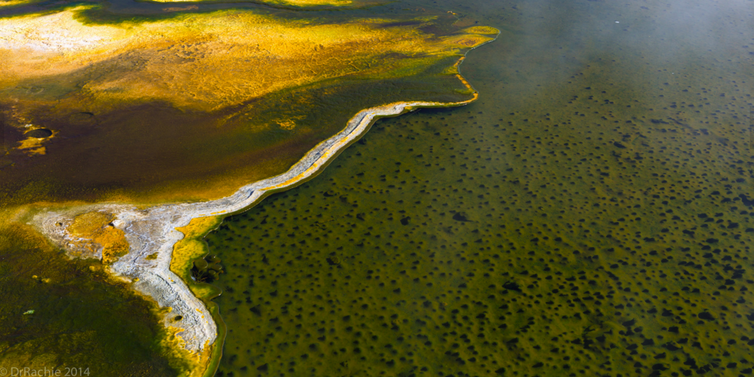 Cyanobacterial mats in Yellowstone National Park. Pretty but toxic. 