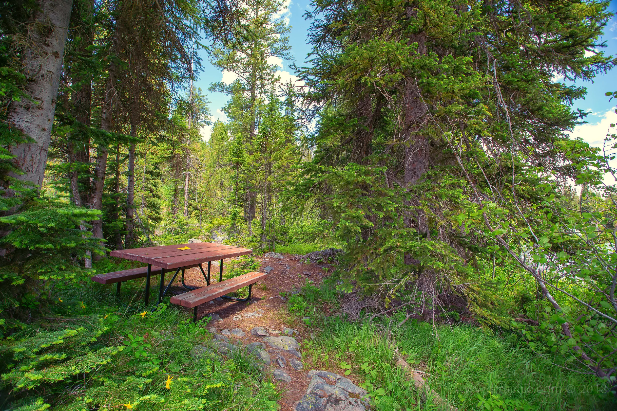 Picnic Tables of North America